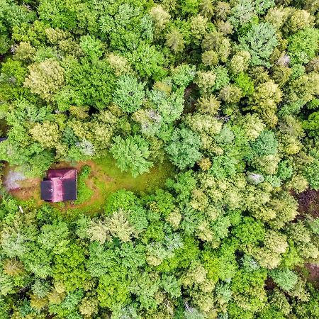 Lost Pond Cabin Schroon Lake Esterno foto